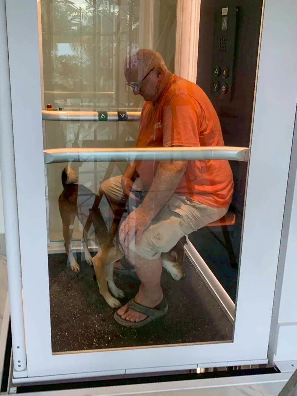 Pengguna lansia duduk bersama anjing di dalam platform lift rumah dengan shaft kaca.